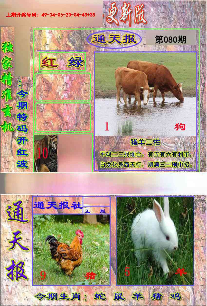 080期新通报[图]