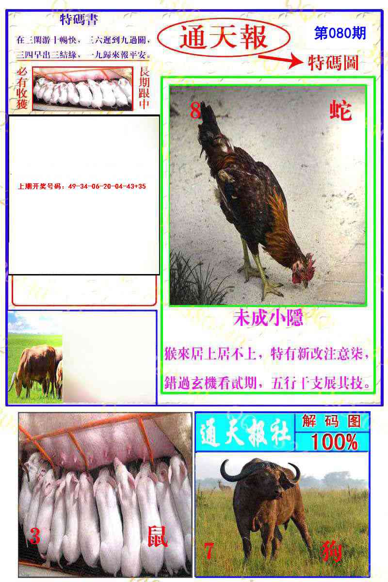 080期通天特解图[图]